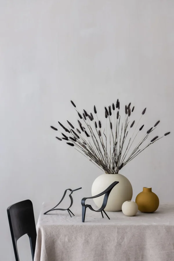 Shop Lagurus Black Dried Flowers