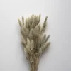 Best Sale Lagurus Light Grey Dried Flowers