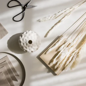 Clearance Pampas White Dried Flowers