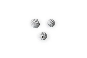 Clearance Sculpture The Genesis Shells Limestone Accessories