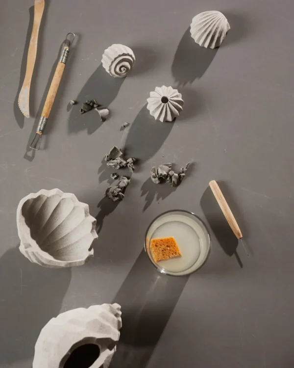 Clearance Sculpture The Genesis Shells Limestone Accessories