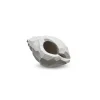 Outlet Sculpture The Pear Shell Limestone Accessories