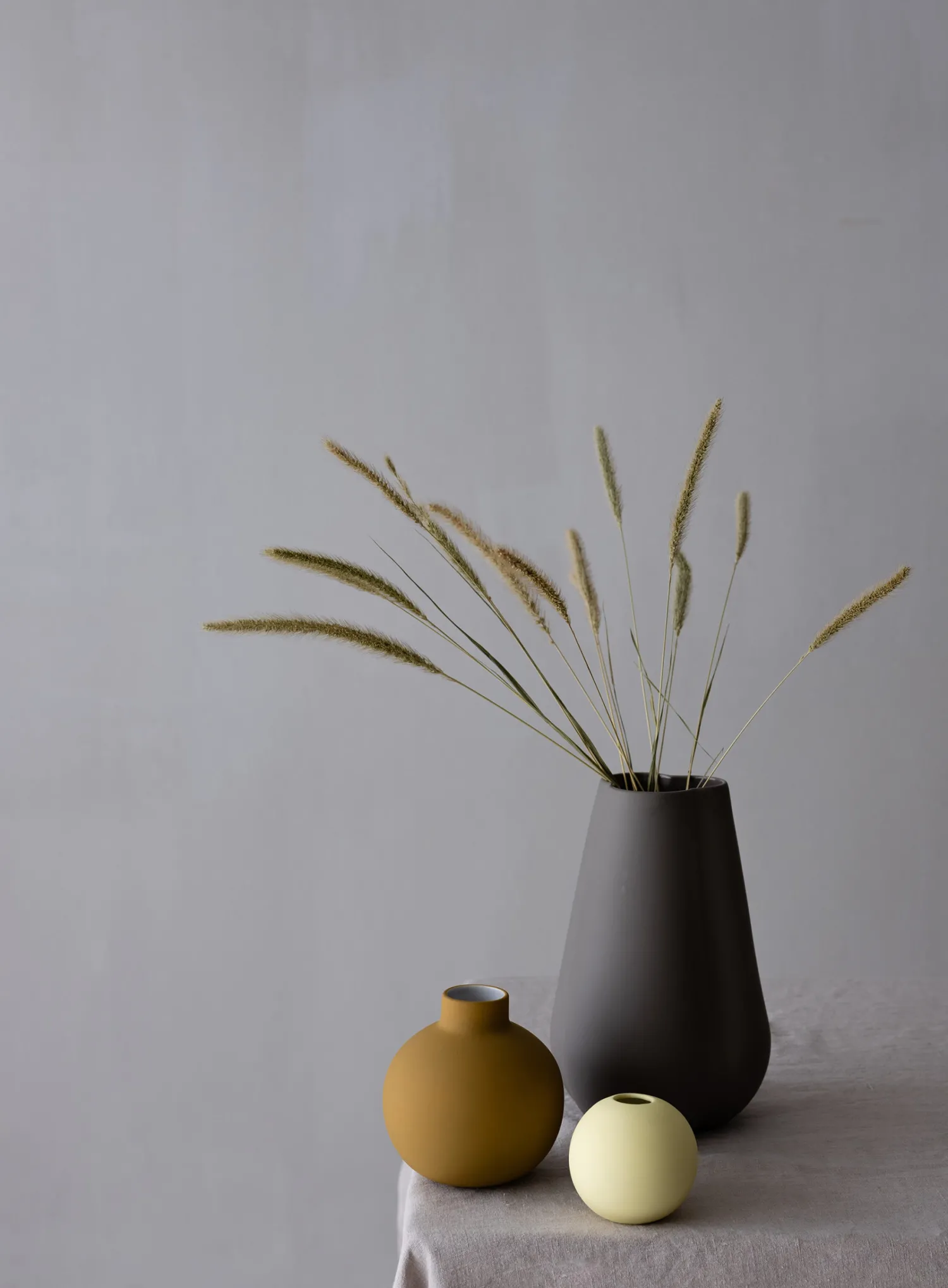 setaria_nature_1.webp Hot Setaria Nature Dried Flowers