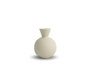 Best Trumpet Vase Shell Small Vases